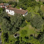 Casa Lavoura Em Requeixo Landsted Celorico De Basto