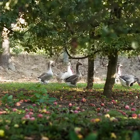 Casa Lavoura Em Requeixo Εξοχικό σπίτι