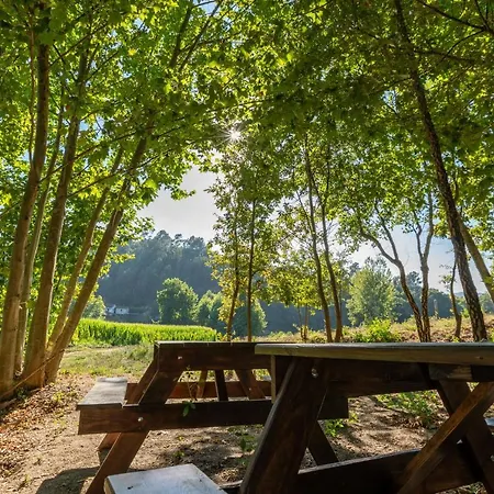 Casa Lavoura Em Requeixo