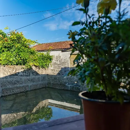 Casa Lavoura Em Requeixo Εξοχικό σπίτι Celorico De Basto