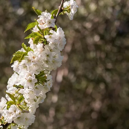 Casa Lavoura Em Requeixo * Селорику-ди-Башту