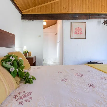 Casa Lavoura Em Requeixo Летний дом