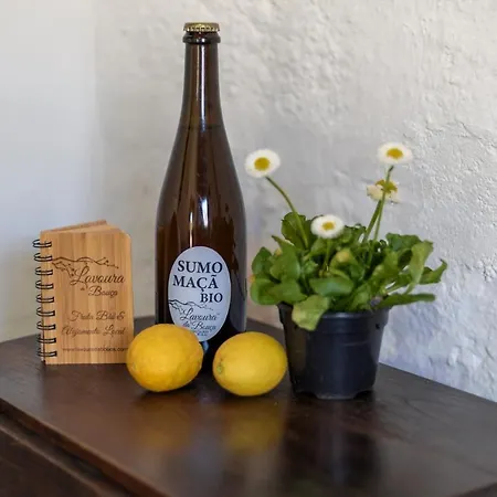 Летний дом Casa Lavoura Em Requeixo *