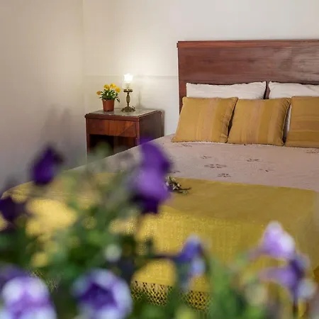 Εξοχικό σπίτι Casa Lavoura Em Requeixo Celorico De Basto