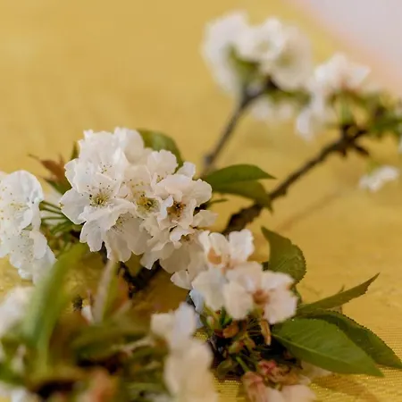 Casa Lavoura Em Requeixo Celorico De Basto