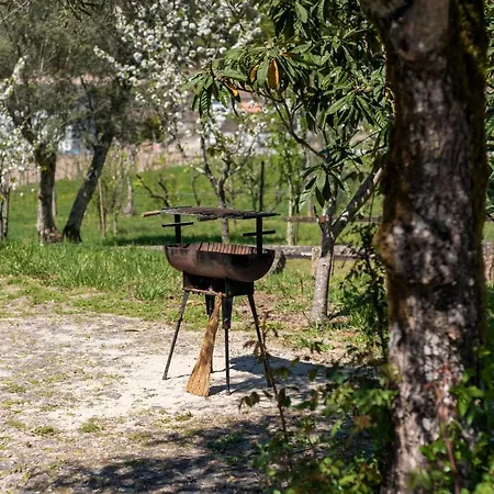 Casa Lavoura Em Requeixo