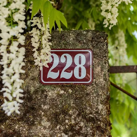 Casa Lavoura Em Requeixo Celorico De Basto