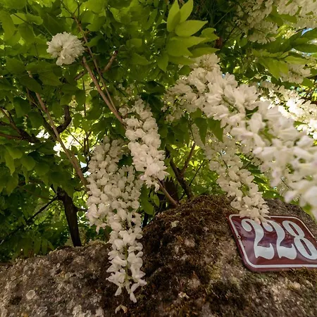 Casa Lavoura Em Requeixo Celorico De Basto