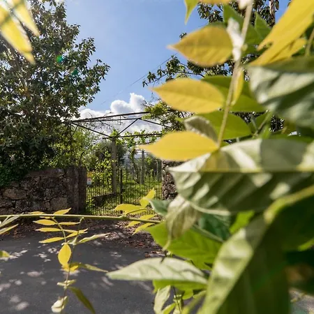 Casa Lavoura Em Requeixo Летний дом