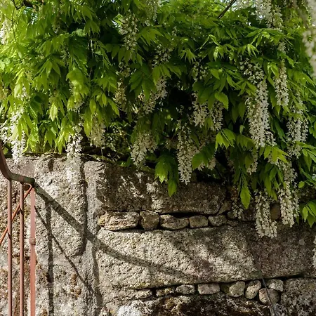 Casa Lavoura Em Requeixo Летний дом