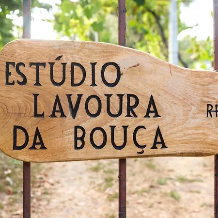 Casa Lavoura Em Requeixo