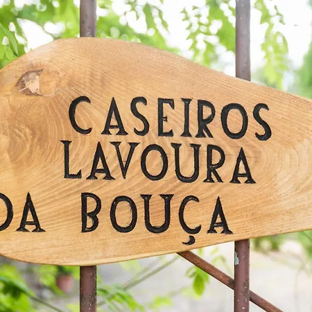 Casa Lavoura Em Requeixo * Celorico De Basto