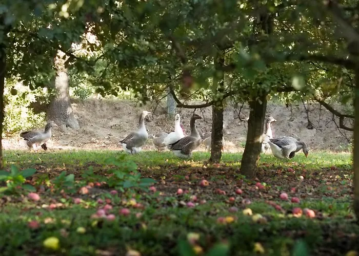 Casa Lavoura Em Requeixo Venkovský dům