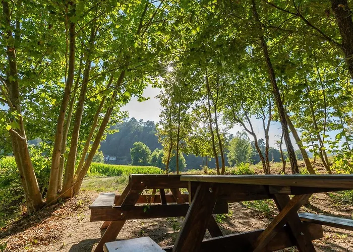 Casa Lavoura Em Requeixo