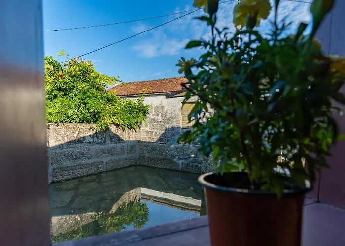 Casa Lavoura Em Requeixo Venkovský dům Celorico De Basto