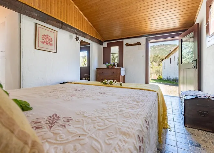 Casa Lavoura Em Requeixo