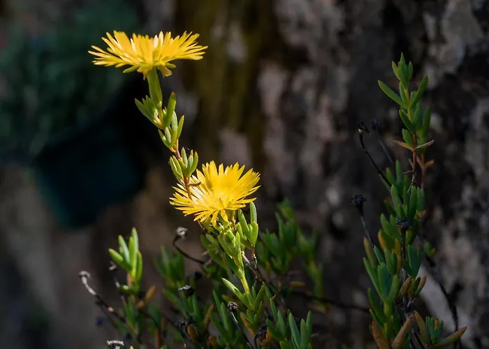 Casa Lavoura Em Requeixo 컨트리하우스 세로리코데바스토