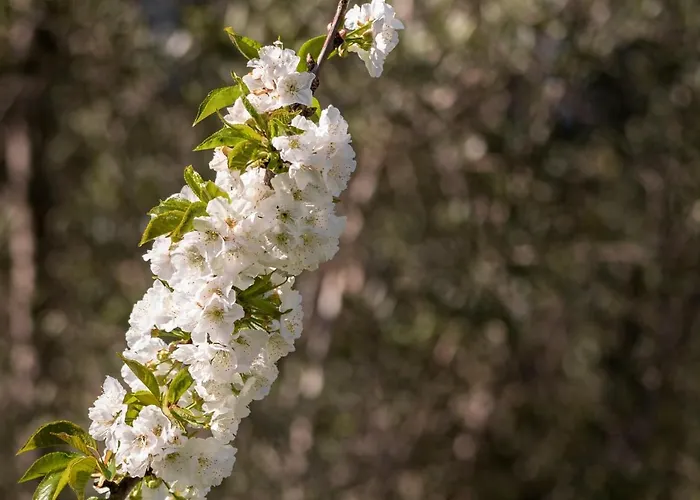 Casa Lavoura Em Requeixo * 세로리코데바스토