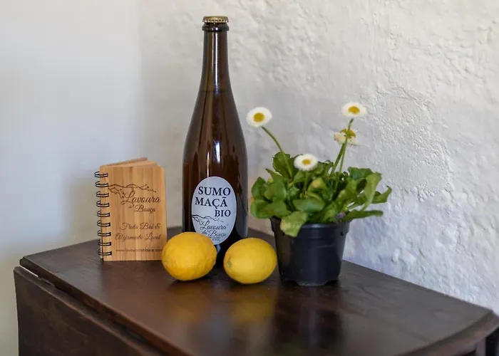 Venkovský dům Casa Lavoura Em Requeixo *