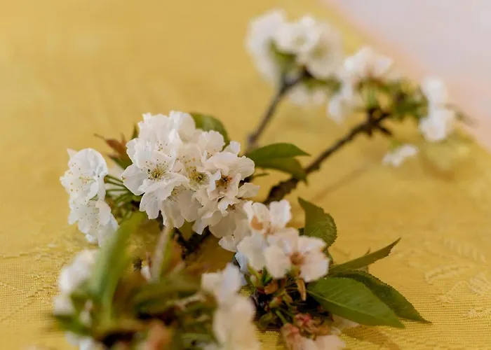 Casa Lavoura Em Requeixo 세로리코데바스토