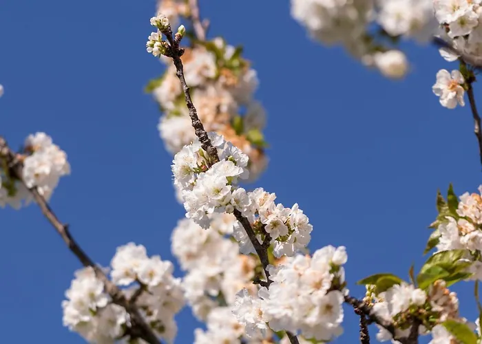 Casa Lavoura Em Requeixo * Celorico De Basto