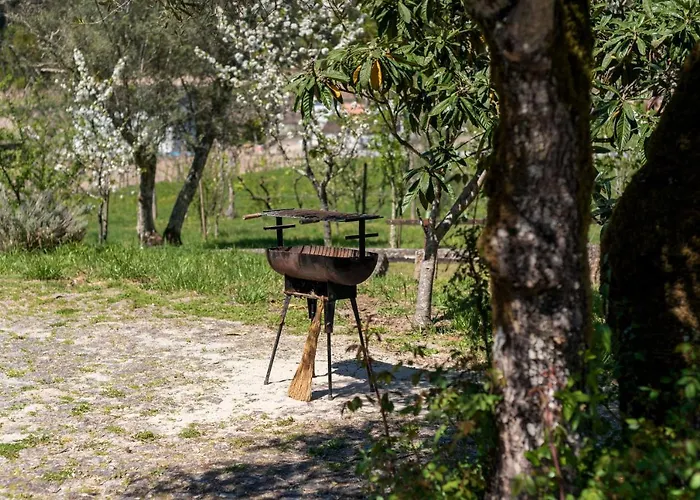 Casa Lavoura Em Requeixo