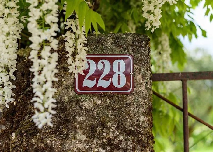 Casa Lavoura Em Requeixo Celorico De Basto