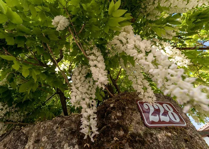 Casa Lavoura Em Requeixo Celorico De Basto