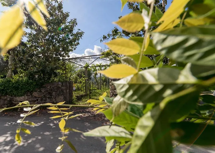 Casa Lavoura Em Requeixo Country house