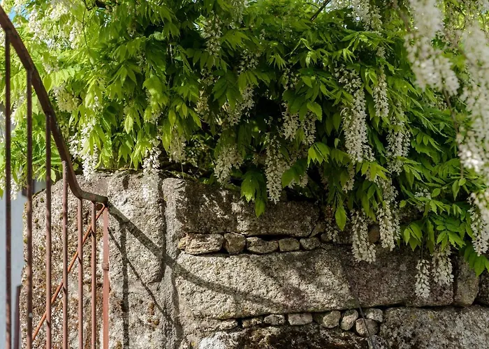Casa Lavoura Em Requeixo Venkovský dům