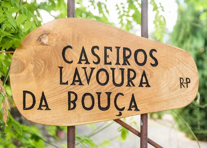 Casa Lavoura Em Requeixo * 세로리코데바스토